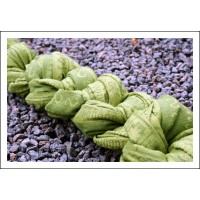 Слинг с кольцами Ellevill Zara Fresh (Хлопок)